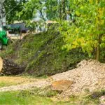 Tree Care in Port Republic