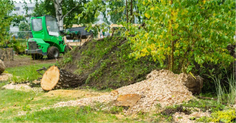 Tree Care in Port Republic