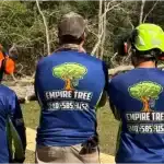 Tree Service Company in Southern Maryland