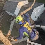 Arborist performing tree trimming and removal in a residential yard in Southern Maryland, with safety gear and professional equipment.