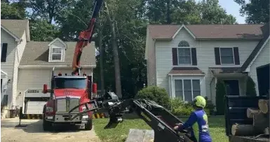 Tree service in White Plains, MD neighborhood, crew trimming trees