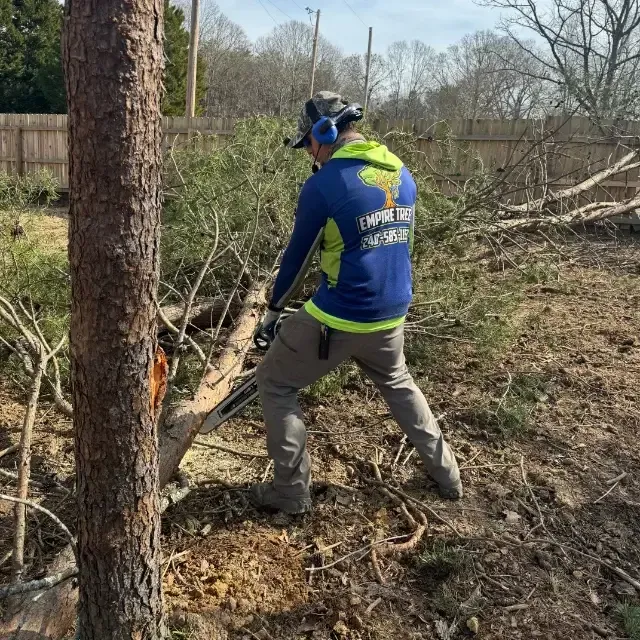 Tree Service Leonardtown, MD