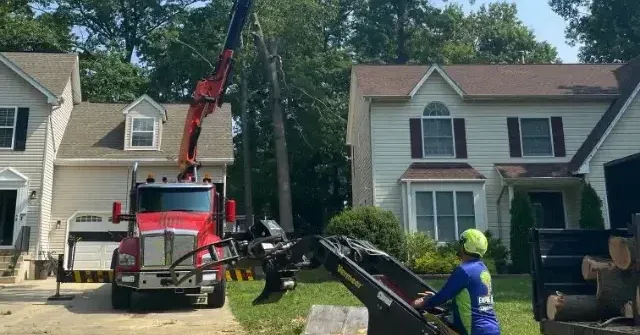 Tree Service Dunkirk MD