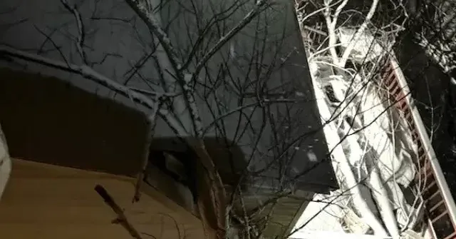 Emergency fallen tree cleanup near house