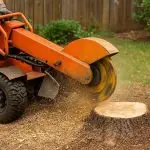stump grinding service near me in Mechanicsville, Southern Maryland