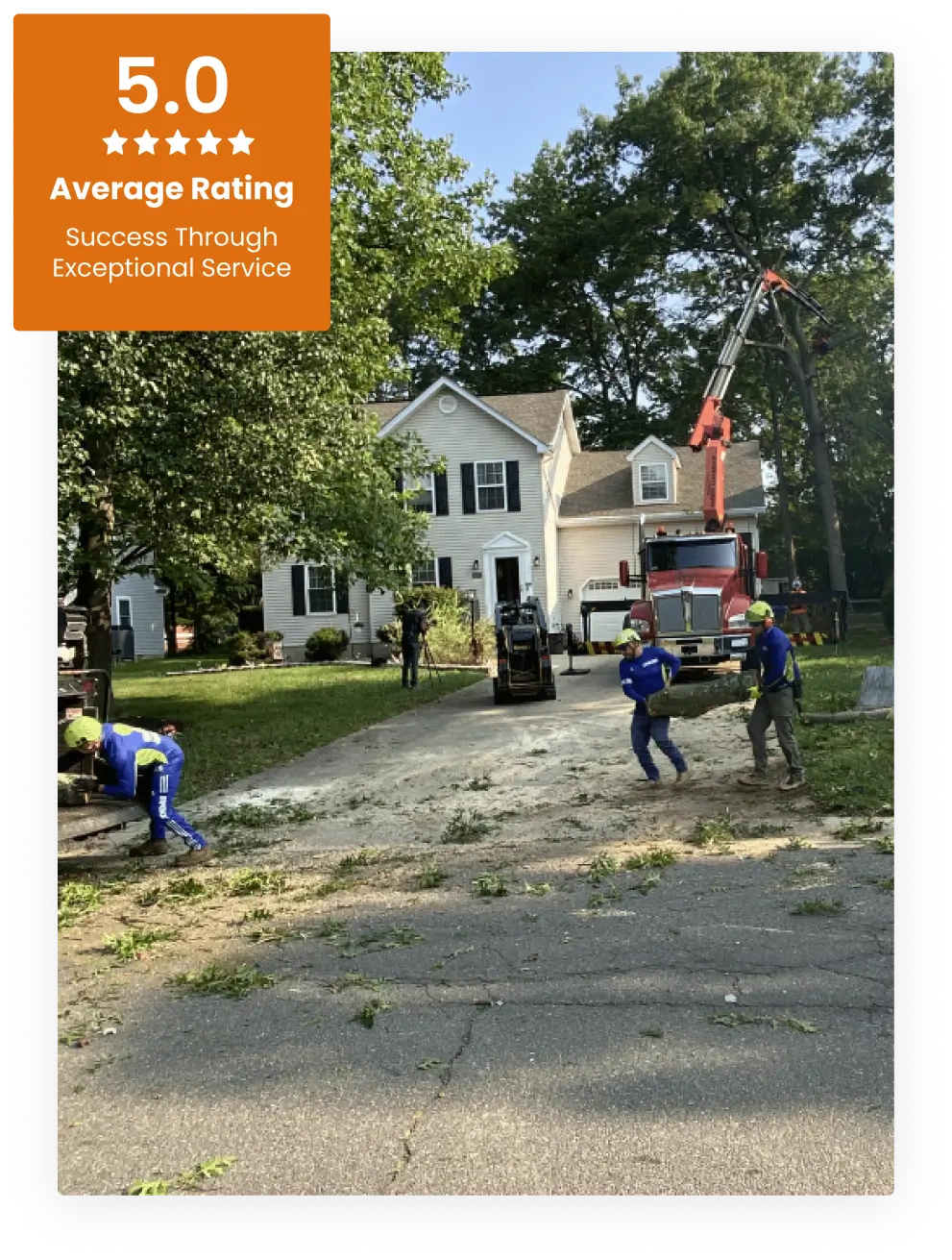 Commercial Tree Service