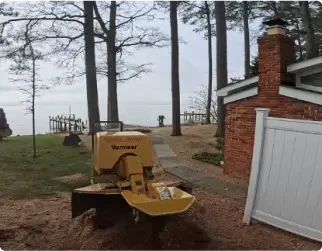 Empire Tree Services: Stump Grinding