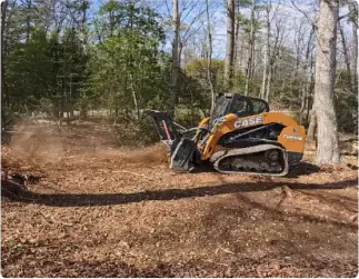 Forestry Mulching Services in Southern Maryland
