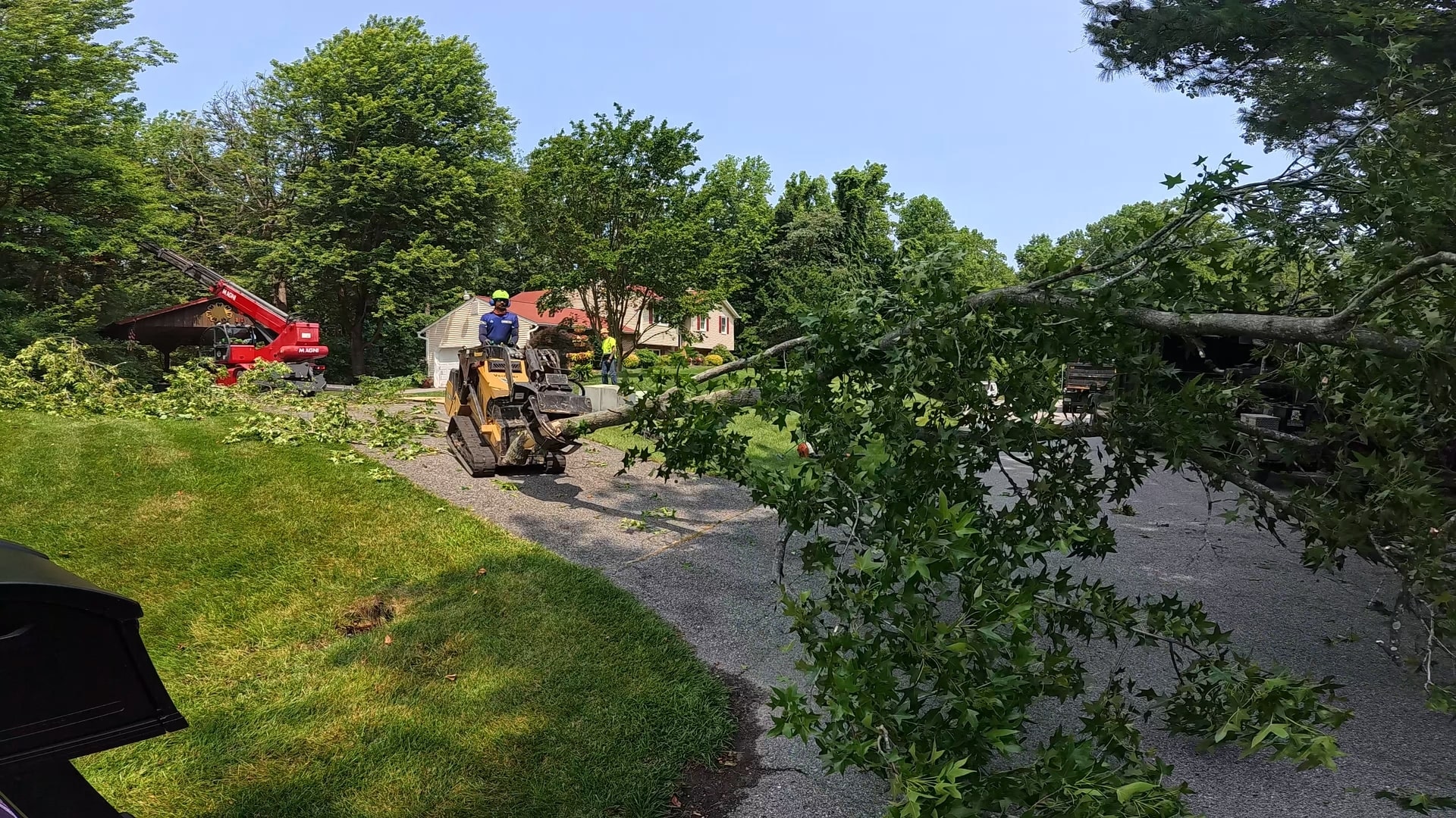 Forestry Mulching or Traditional Land Clearing: What’s Better for Your Mechanicsville Property?