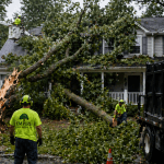Image Alt Text: Emergency tree service in Calvert County by Empire Tree Services after storm damage