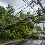 fallen tree tangled in high-voltage power lines after storm damage in Southern Maryland