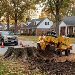 Stump grinder machine removing an old oak stump in Mechanicsville Maryland