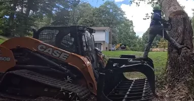 Emergency Tree Removal Port Republic MD