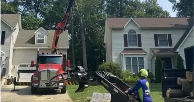 Tree service in White Plains, MD neighborhood, crew trimming trees
