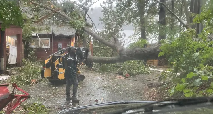 Emergency Tree Removal in Southern MD | Empire Tree Services