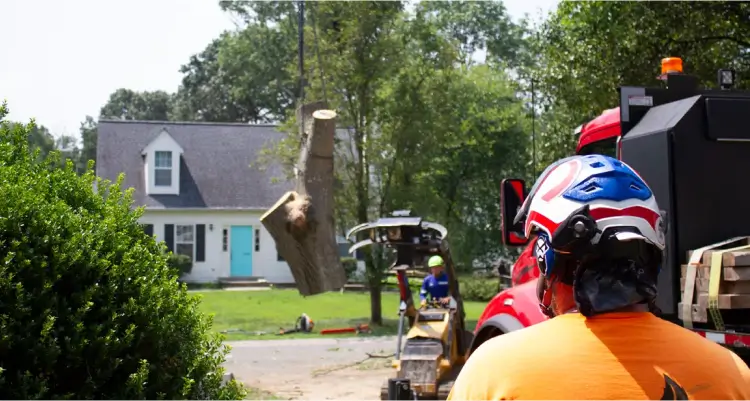 Storm Cleanup in Southern Maryland
