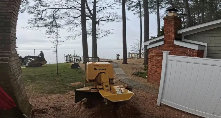 Stump Grinding & Removal in Mechanicsvile and Southern Maryland