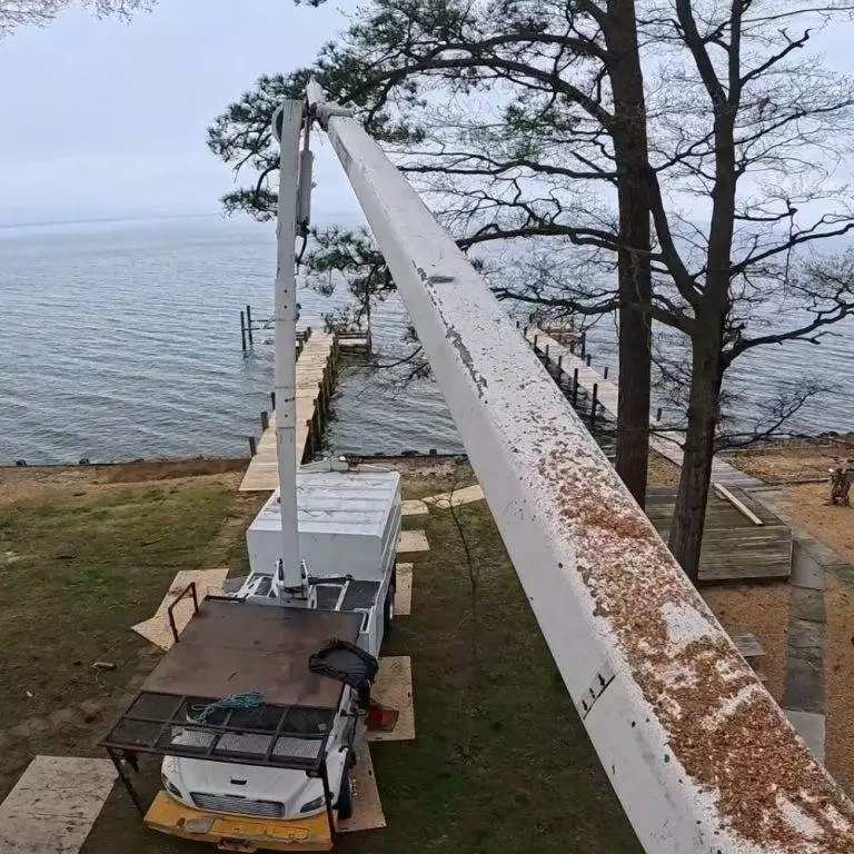 Tree Service in Broomes Island, MD -Emergency tree service clearing fallen oak blocking driveway in Huntingtown MD