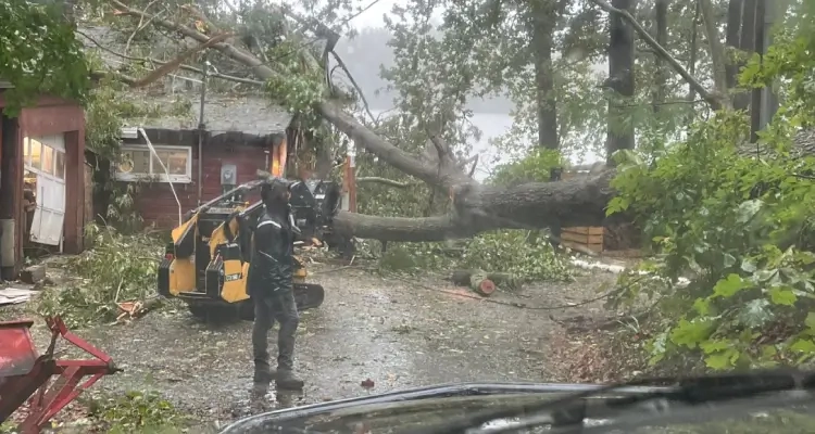 Emergency Tree Removal in Southern MD | Empire Tree Services