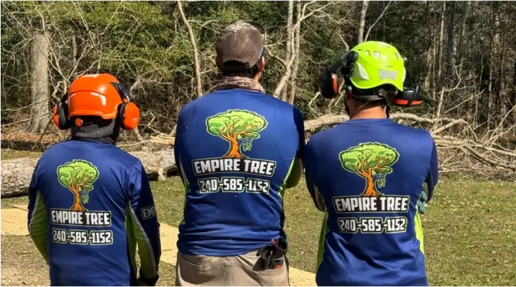 Tree Service Company in Southern Maryland