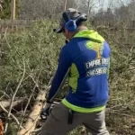 Dead tree removal service eliminating a hazardous tree near a residential property in Augusta, GA