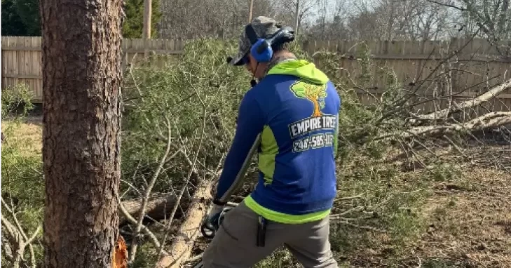Dead tree removal service eliminating a hazardous tree near a residential property in Augusta, GA