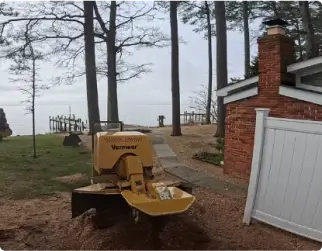 Empire Tree Services: Stump Grinding