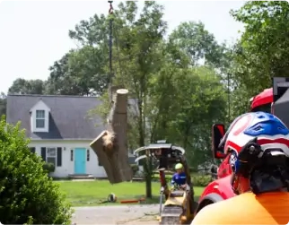 Empire Tree Services: Storm Cleanup