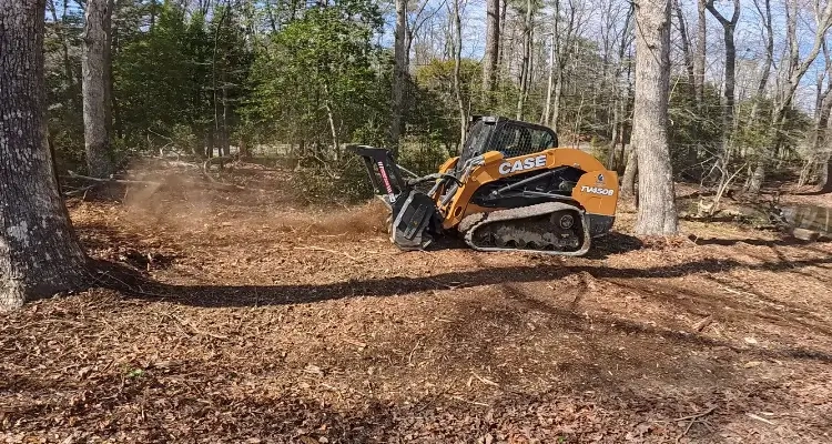Forestry Mulching in Southern Maryland | Empire Tree Services