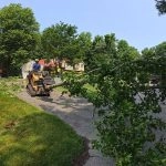 Forestry Mulching or Traditional Land Clearing: What’s Better for Your Mechanicsville Property?