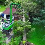 Arborists in Mechanicsville, MD, safely remove and trim damaged trees, offering storm cleanup, pruning, and property protection